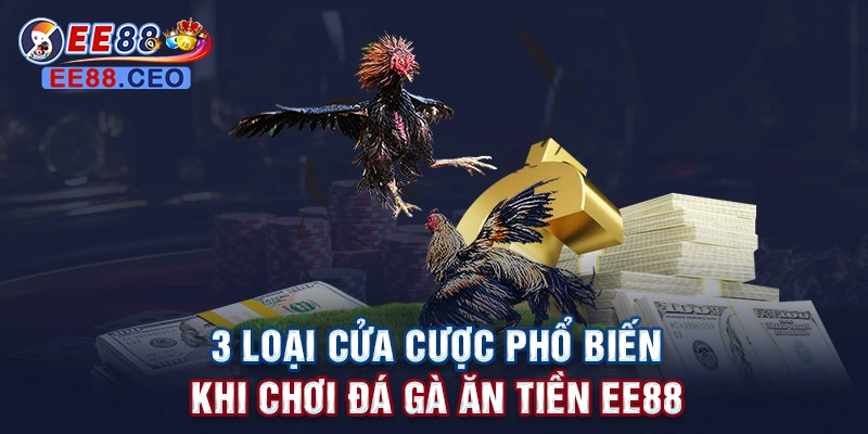 3 loại cửa cược phổ biến khi chơi đá gà ăn tiền EE88