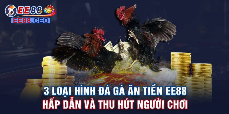 3 loại hình đá gà ăn tiền EE88 hấp dẫn và thu hút người chơi