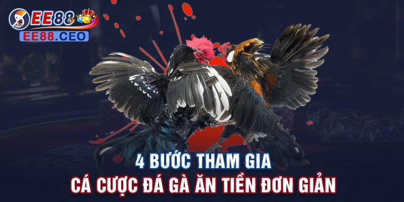 4 bước tham gia cá cược đá gà ăn tiền đơn giản