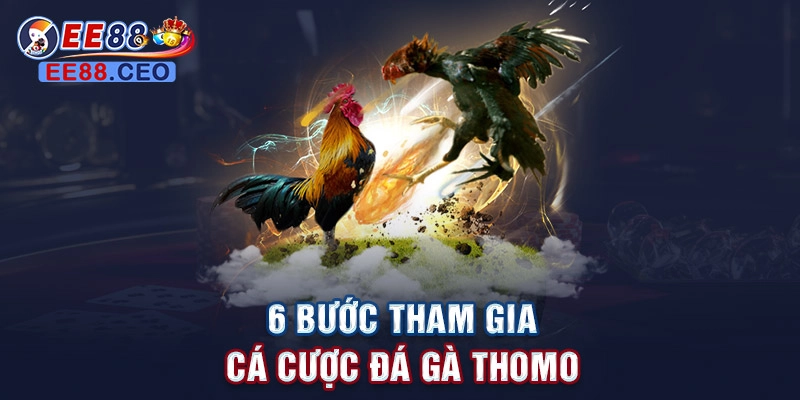 6 bước tham gia cá cược đá gà thomo