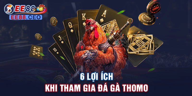 6 lợi ích khi tham gia đá gà thomo