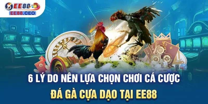 6 lý do nên lựa chọn chơi cá cược đá gà cựa dạo tại EE88