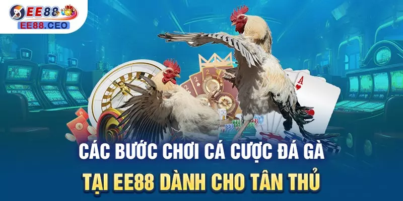 Các bước chơi cá cược đá gà tại EE88 dành cho tân thủ