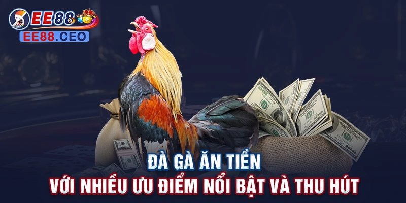 Đá gà ăn tiền với nhiều ưu điểm nổi bật và thu hút