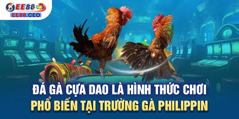 Đá gà cựa dao là hình thức chơi phổ biến tại trường gà Philippin