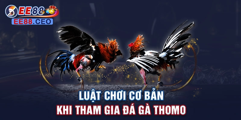 Luật chơi cơ bản khi tham gia đá gà thomo