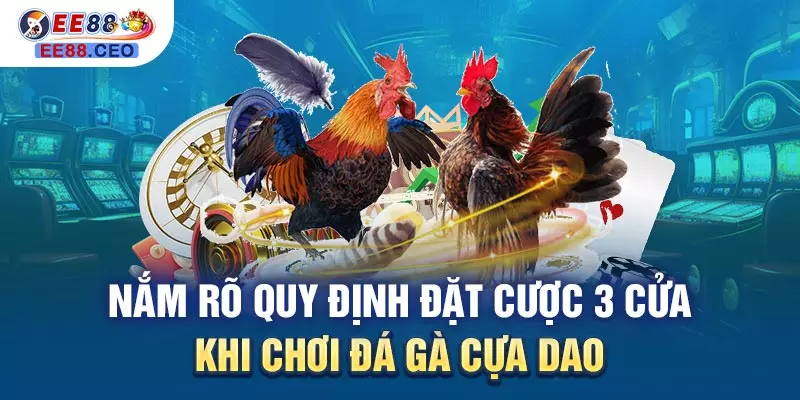 Nắm rõ quy định đặt cược 3 cửa khi chơi đá gà cựa dao