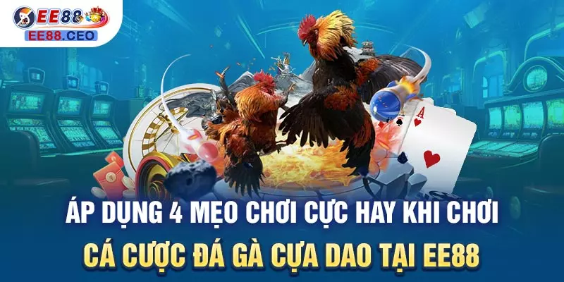 Áp dụng 4 mẹo chơi cực hay khi chơi cá cược đá gà cựa dao tại EE88