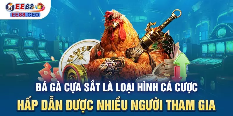 Đá gà cựa sắt là loại hình cá cược hấp dẫn được nhiều người tham gia