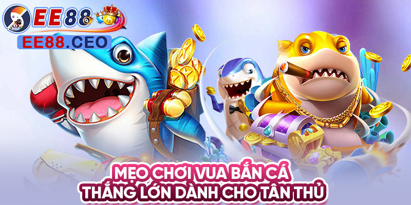 Mẹo chơi vua bắn cá thắng lớn dành cho tân thủ