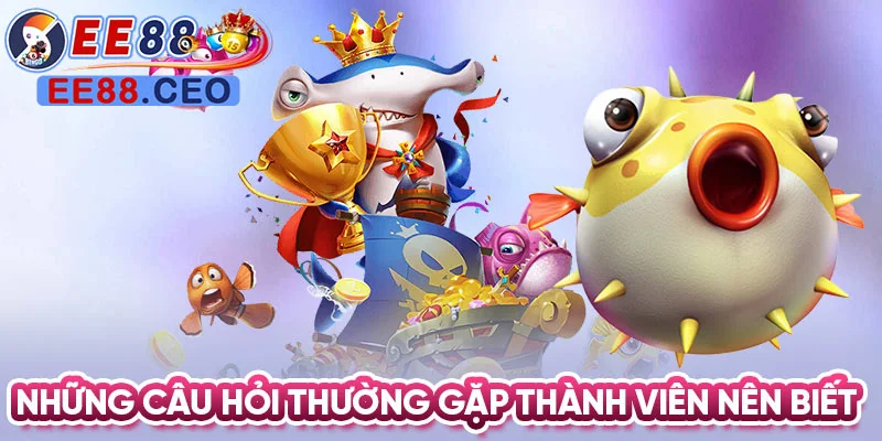 Những câu hỏi thường gặp thành viên nên biết