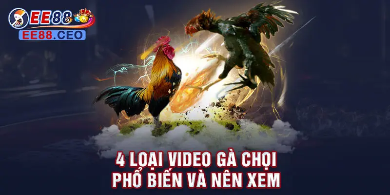 4 loại video gà chọi phổ biến và nên xem