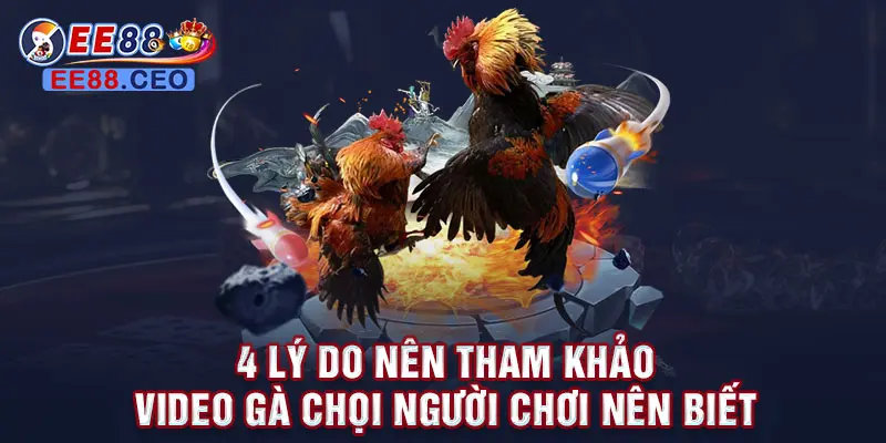 4 lý do nên tham khảo video gà chọi người chơi nên biết